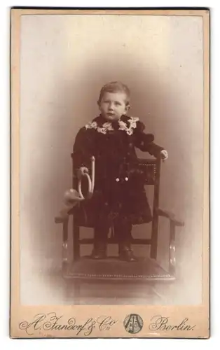 Fotografie A. Jandorf & Co., Berlin, Spittelmarkt 16 /17, Süsses Kleinkind mit Horn auf einem Stuhl stehend