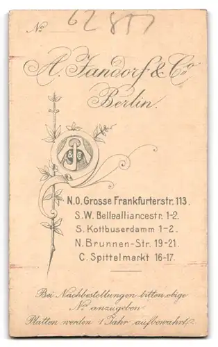 Fotografie A. Jandorf & Co., Berlin, Spittelmarkt 16 /17, Süsses Kleinkind mit Horn auf einem Stuhl stehend