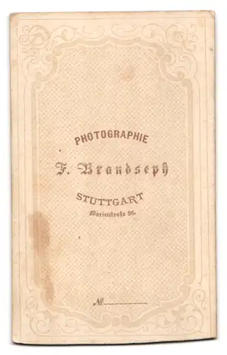 Fotografie F. Brandseph, Stuttgart, Marienstrasse 36, Hübsches Mädchen mit Zopf und Kette