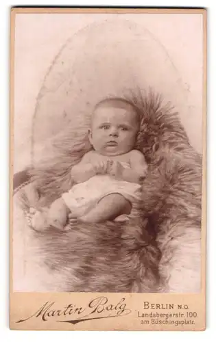 Fotografie Martin Balg, Berlin, Landsbergerstr. 100, Niedliches Baby mit grossem Kopf schaut leicht verwirrt