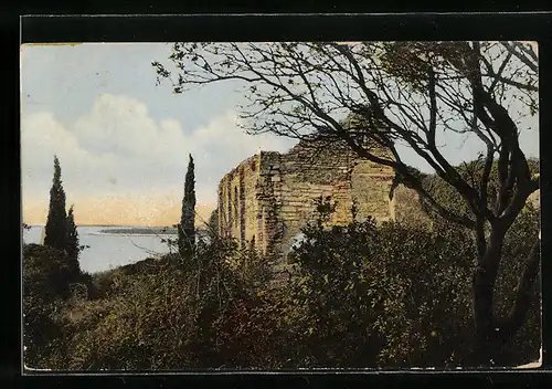 AK Insel Brioni i. d. Adria, Basilike St. Madonna