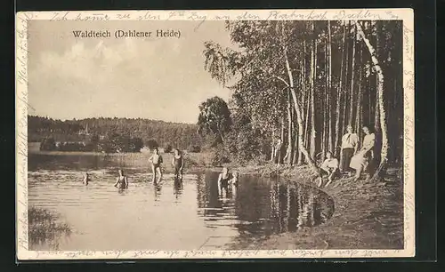 AK Dahlen, Partie am Waldteich