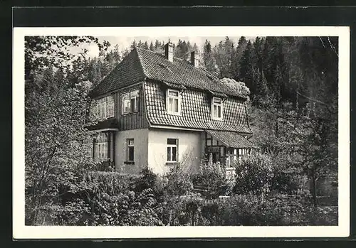 AK Altenbrak / Harz, Hotel-Pension Villa Heidecke