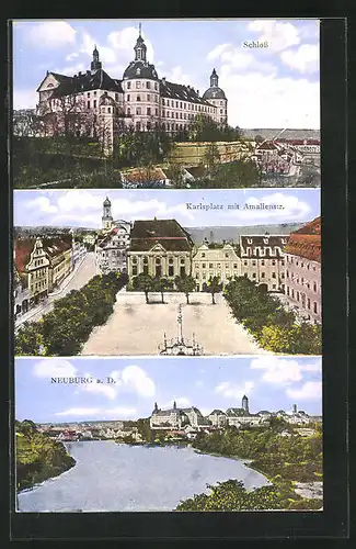 AK Neuburg a. D., Panorama, Schloss und Karlsplatz mit Amalienstrasse