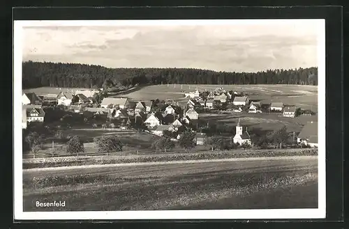 AK Besenfeld b. Freudenstadt, Panorama