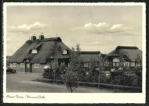 AK Wiesmoor / Ostfr., Gasthaus Blauer Fasan