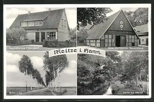 AK Meitze i. Hann., Geschäftshaus F. Burgdorf, Birkenweg, niedersächsisches Bauernhaus