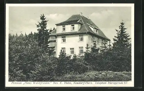 AK Neudorf / Harz, Hotel Pension Haus Waldfrieden