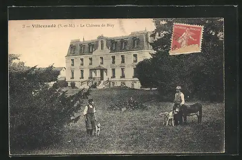 AK Villevaudé, Le Château de Bizy