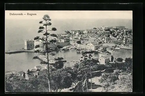 AK Dubrovnik, Ortsansicht mit Hafen