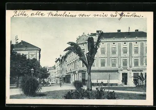 AK Zagreb, Marovska ulica