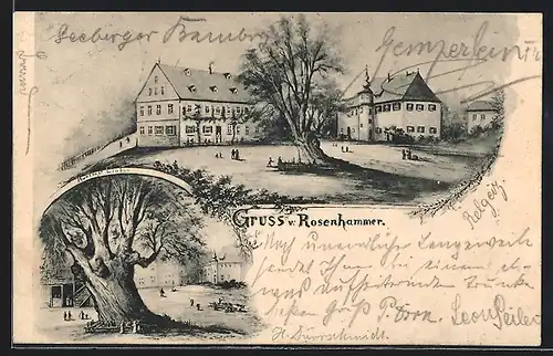 AK Rosenhammer, Ortspartie und alter Baum