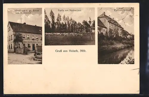 AK Hohlach / Mfr., Gasthaus zum grossen Baum, Partie mit Schafherde am Steinachtal, Schloss
