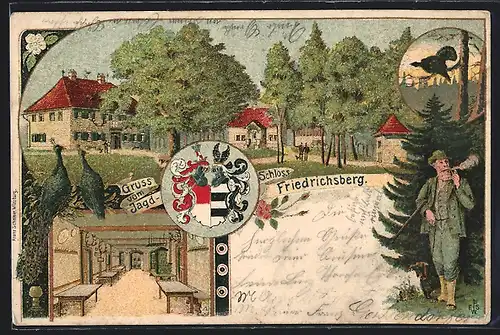 Lithographie Abtswind, Jagd-Schloss Friedrichsberg, Innenansicht