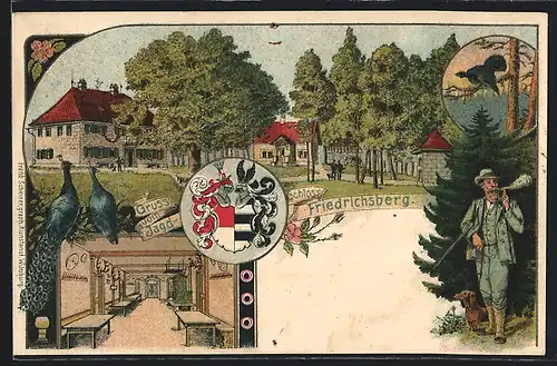 Lithographie Friedrichsberg, Jagdschloss, Innen- und Aussenansicht, Pfauenpaar, Auerhahn