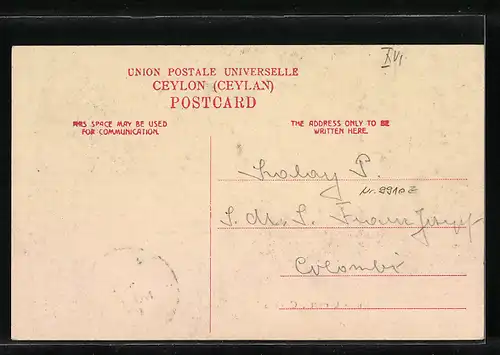 AK Ceylon, Bullock carts, Singhalesische Ochsenwagen