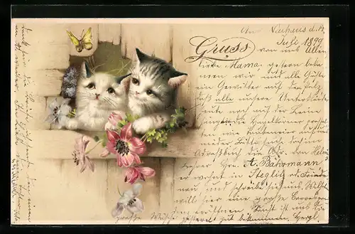 Lithographie Zwei kleine Katzen beobachten einen Schmetterling
