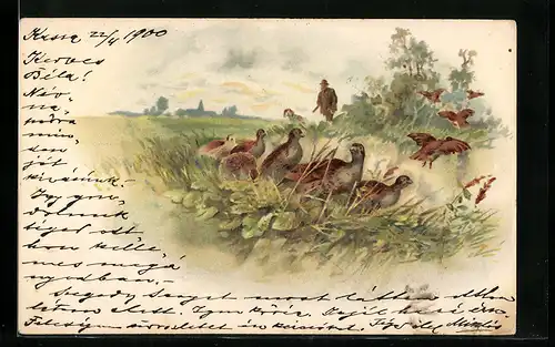 Lithographie Vögel in einer Landschaft und Jäger mit Hund