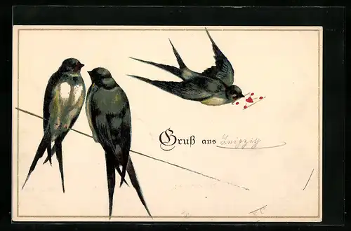 AK Schwalbenpaar und Briefschwalbe mit Liebesbrief