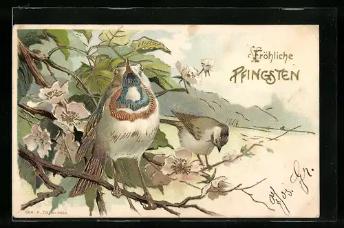 Präge-Lithographie Singvögel an einem Gewässer, Pfingstgruss