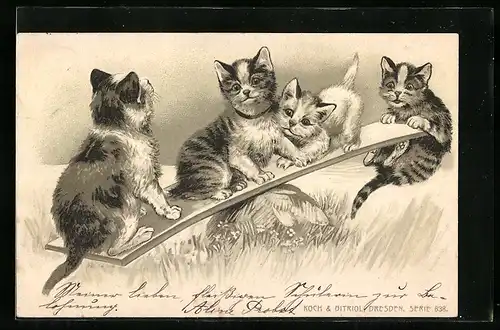 AK Junge Katzen auf einer Wippe