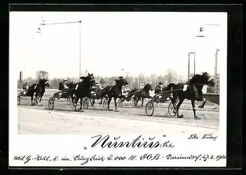 Foto-AK Berlin-Mariendorf, Trabrennen, Nuntius