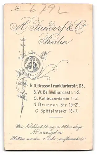 Fotografie A. Jandorf & Co., Berlin, Grosse Frankfurterstr. 113, Ältere Dame in schwarzer Kleidung