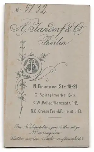 Fotografie A. Jandorf & Co., Berlin, Brunnen-Str. 19-21, Kleiner Junge im Matrosenanzug mit Peitsche