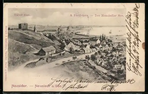 AK Neusiedl am See, Gesamtansicht mit Strasse, Ruine und See