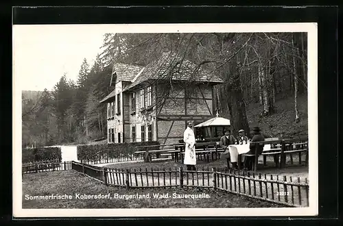 AK Kobersdorf, Wald-Sauerquelle, Gartenansicht mit Arzt und Herrengruppe