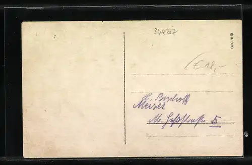 AK Lauenstein, Festgesellschaft beim Türkenball am 26. Februar 1927
