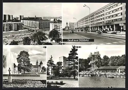 AK Dessau, August-Bebel-Strasse mit Geschäften, Im Stadtpark mit Blick auf die Hauptpost, Strandbad Adria