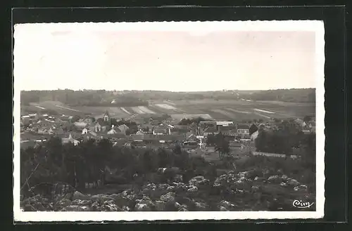 AK Le Vaudouè, Vue gènèrale, Gesamtansicht
