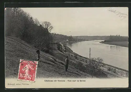 AK Vosves, Chatau - Vue sur la Seine