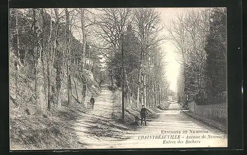 AK Chaintrèauville, Avenue de Nemours, Entrèe des Rochers