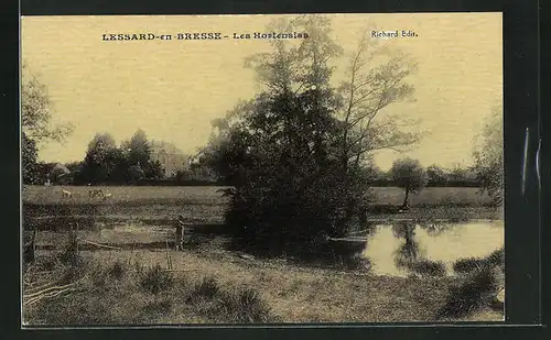 AK Lessard-en-Bresse, Les Hortensias