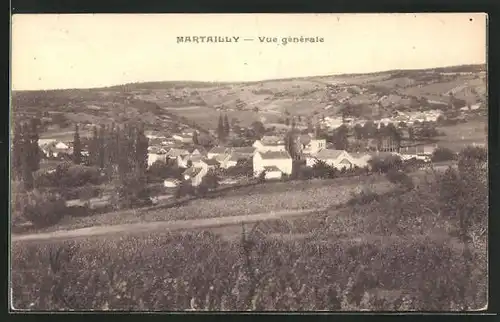 AK Martailly, Vue générale