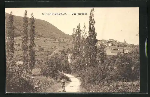 AK St-Denis-de-Vaux, Vue Partielle