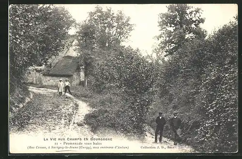 AK Savigny-le-Jeune, Promenade sous haies