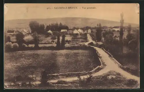 AK Salornay-Brioux, Vue générale