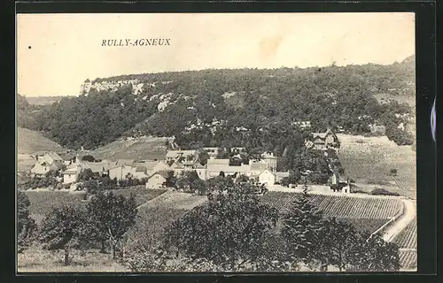 AK Rully-Agneux, Panorama