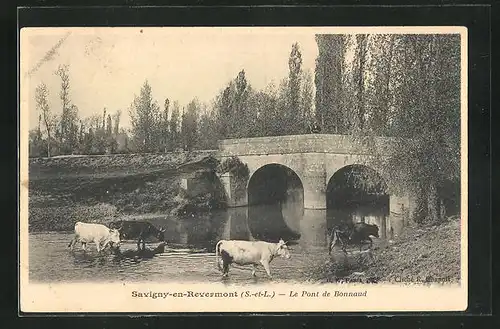 AK Savigny-en-Revermont, Le Pont de Bonnaud
