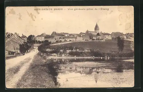 AK Bois-Saintre-Marie, Vue générale prise de l'Étang