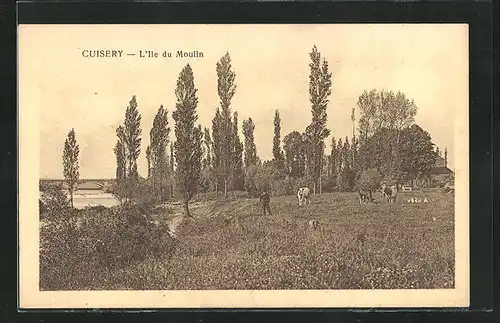 AK Cuisery, L`Ile du Moulin