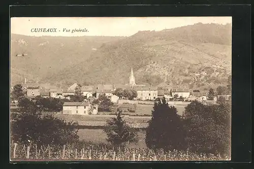 AK Cuiseaux, Vue générale