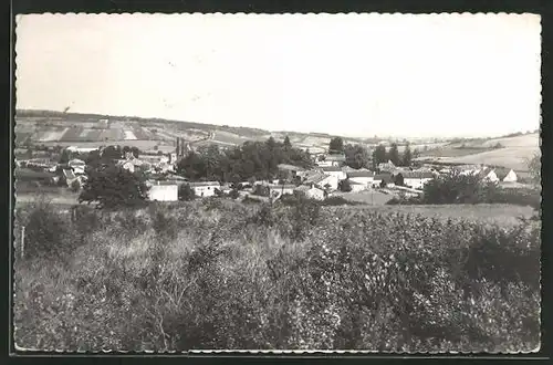 AK Uchizy, Vue générale