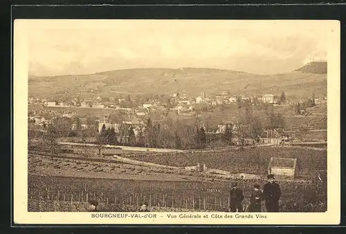 AK Bourgneuf-Val-d'Or, Vue Générale et Cote des Grands Vins