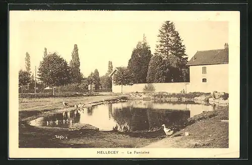 AK Mellecey, la Fontaine