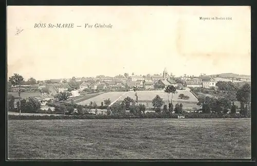 AK Bois-Ste-Marie, Vue Générale