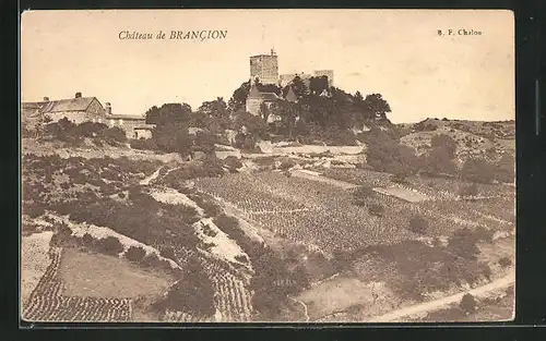 AK Brancion, Le Château